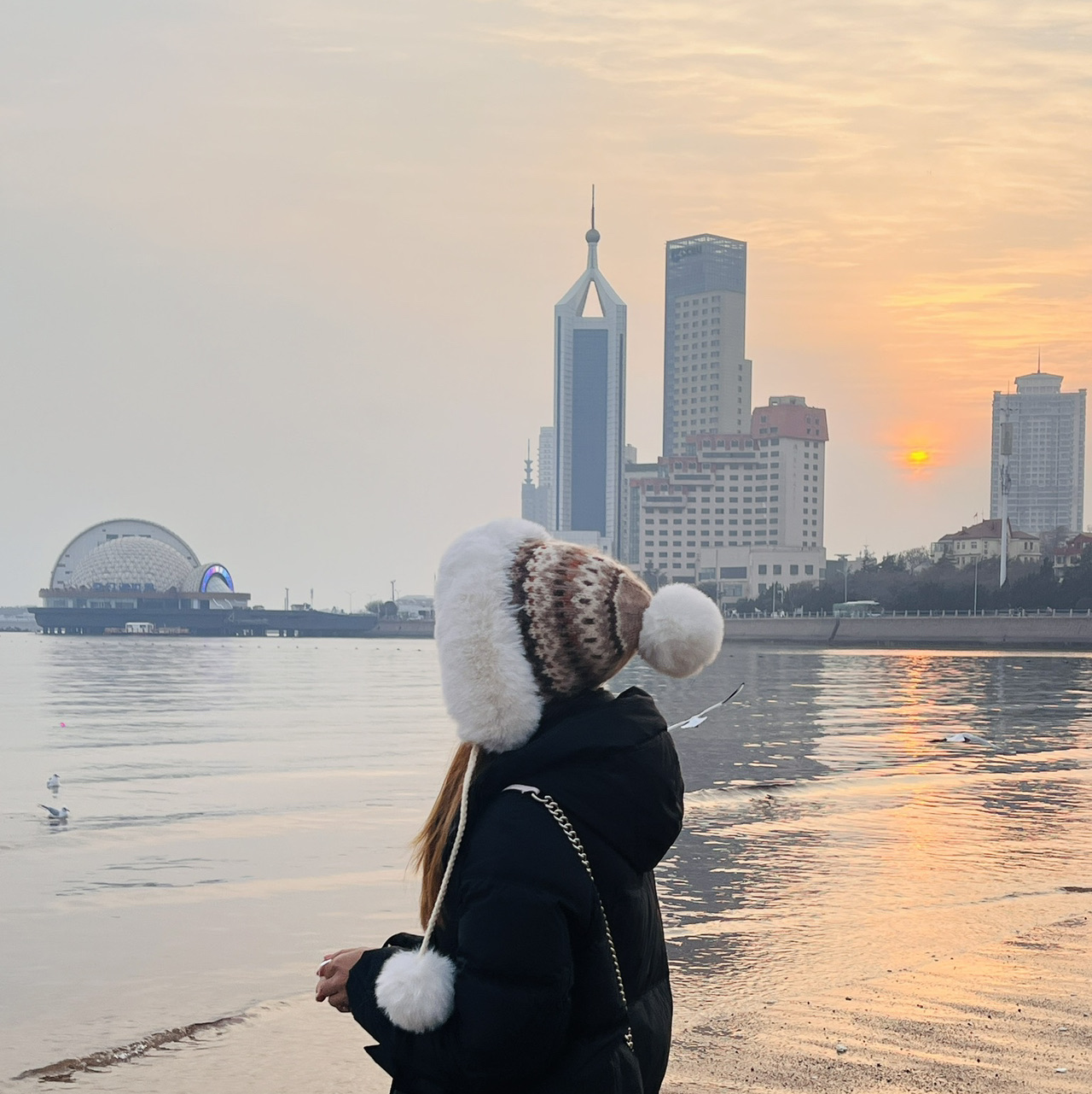 Zhanqiao Pier with seagulls